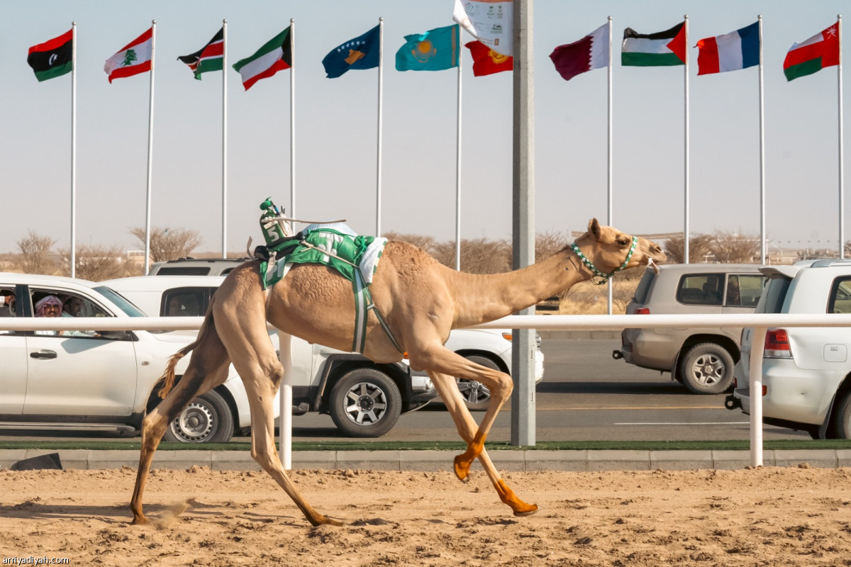 مهرجان ولي العهد.. انتظار وشغف