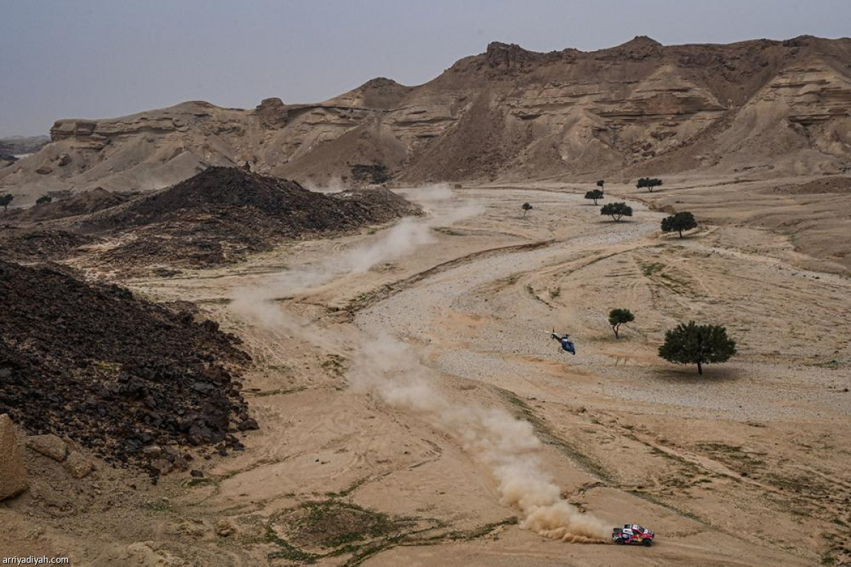 داكار.. نهاية الثامنة