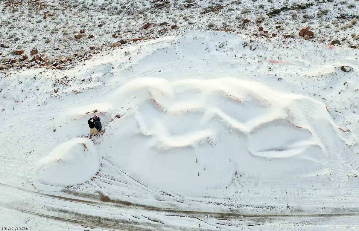 بياض الثلج.. يغطي «تروجينا»