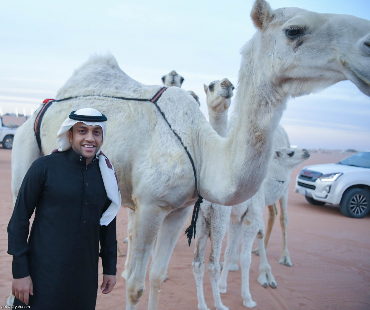 الشلهوب يرافق سالم في عالم الإبل