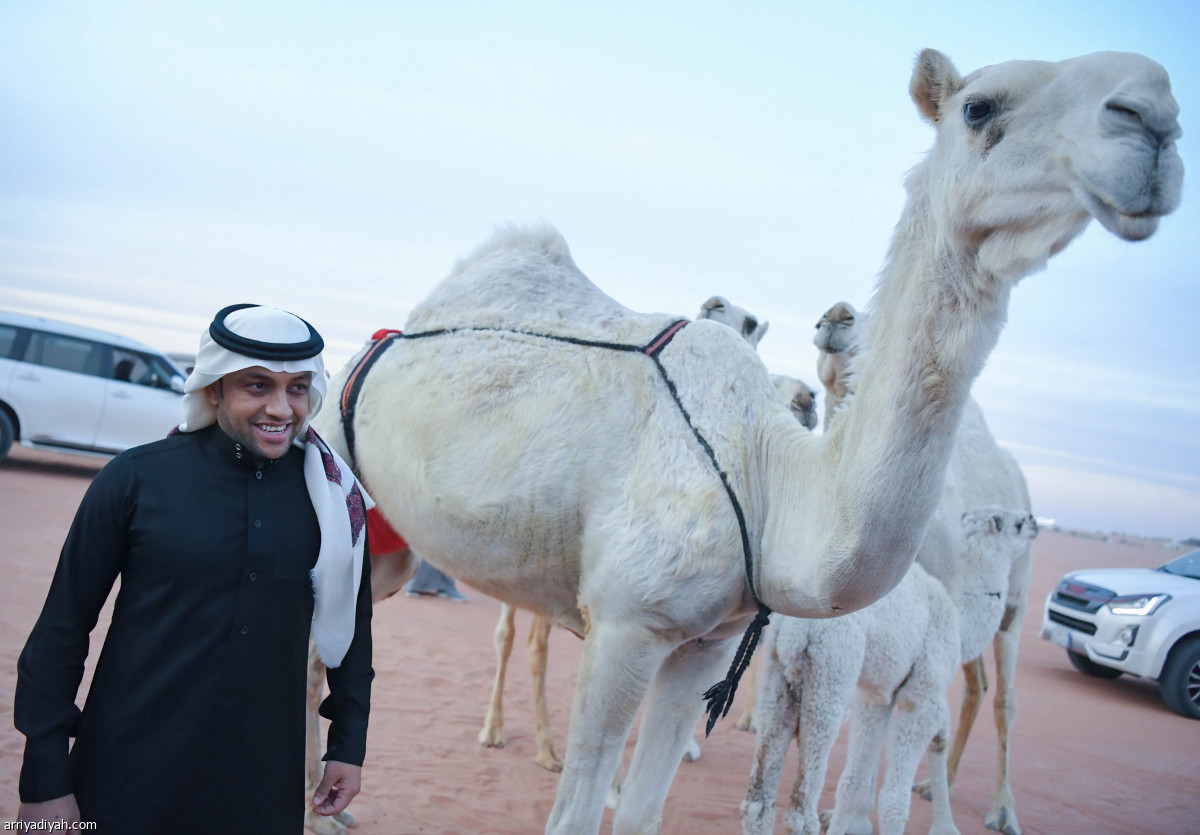 الشلهوب يرافق سالم في عالم الإبل